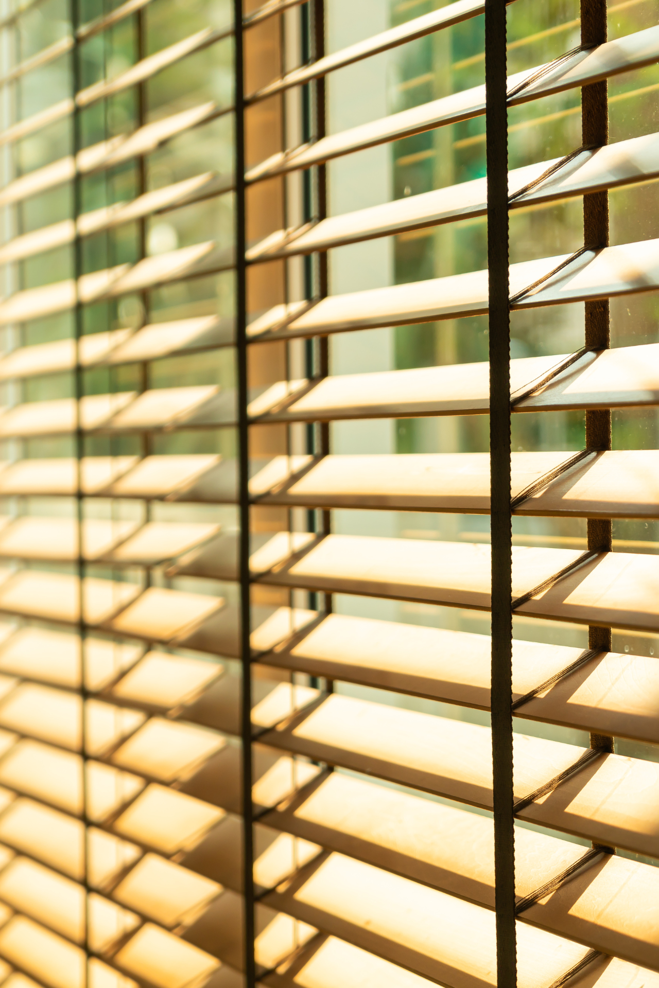 Premium Blinds System